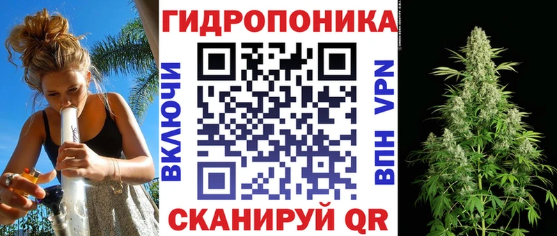 Канабис планчик  Купить  Тотьма 